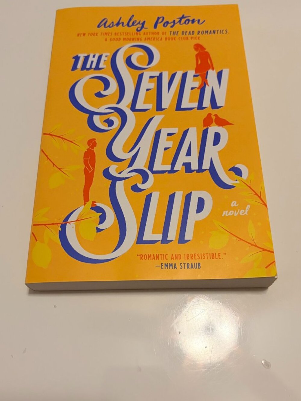The Seven Year Slip Ashley Poston Paperback Romance Novel Preloved